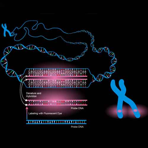 باروری و سلامت جنین