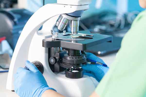 ژنتیک غرب کشور